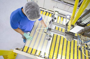 Construction and assembly of industrial special food plants