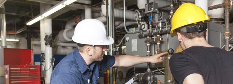 Assistance and repair of faults on automation, machinery and industrial plants